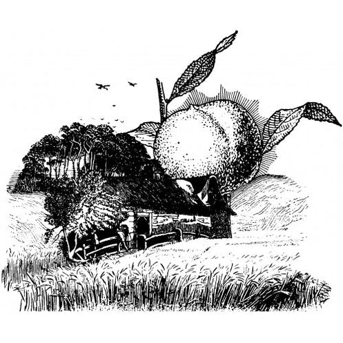 Edmunds Oast Ryes And Roll Lager  4pk Cn