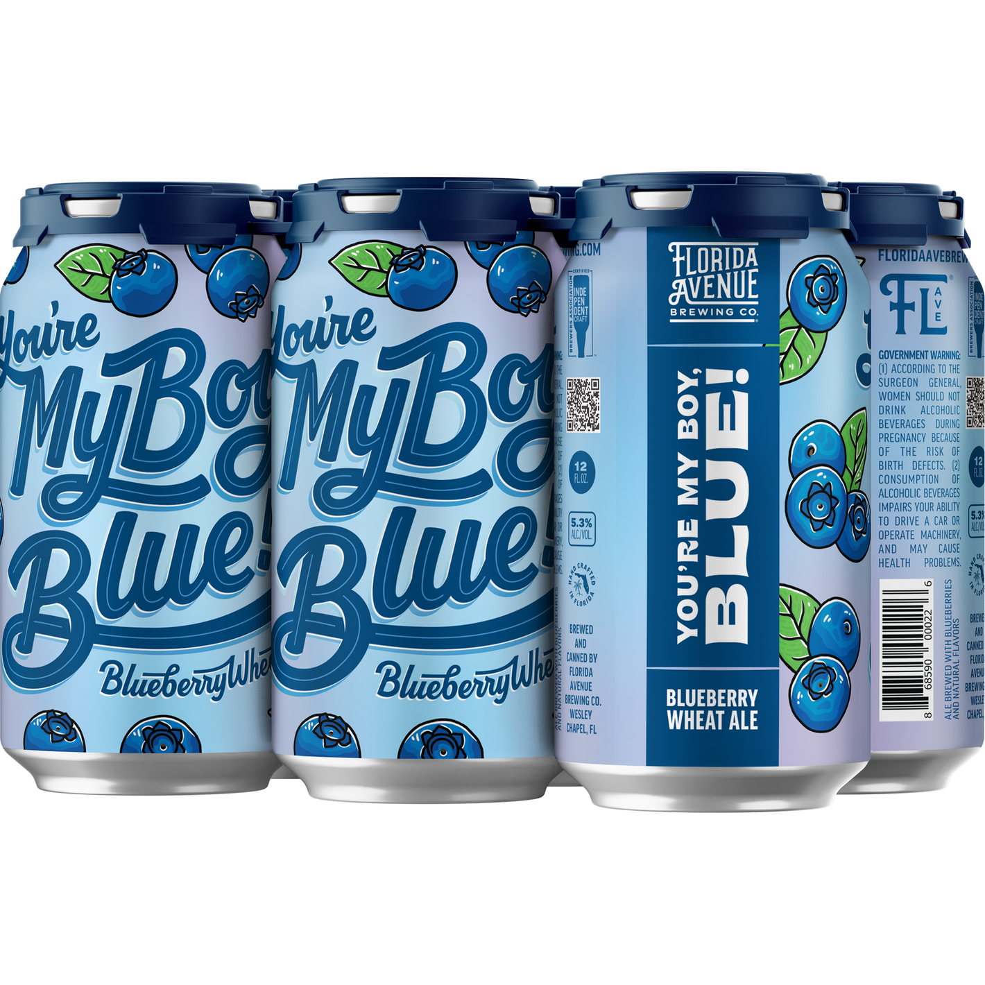 Florida Avenue Your My Boy Blue  6pk Cn