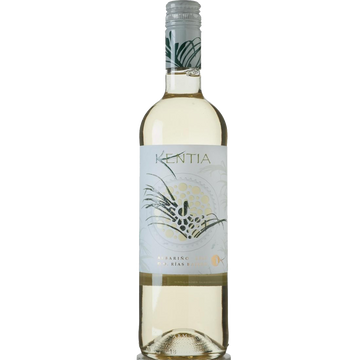 Kentia Albarino
