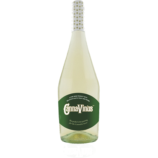 Canna Vinus White