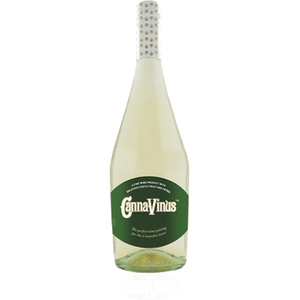 Canna Vinus White