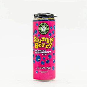Fat Heads Stumble Berry Ale 6pk Cn