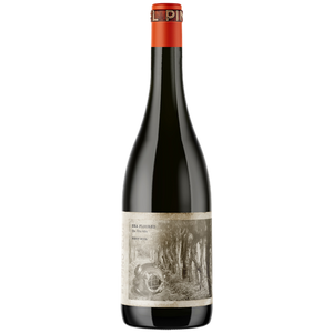 El Pino Club Sea Floored Pinot Noir