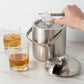 True Ice Bucket with Tongs