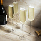 Viski Reserve Julien Crystal Champagne Flute 2Pk