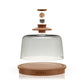 Alchemi Cocktail Smoking Dome Viski