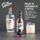Collins Lavendar Simple Syrup