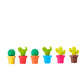 Cactus Bag With Wine Markers
