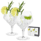 Viski Angled Crystal Gin & Tonic Glasses 2pk