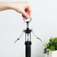Winged Corkscrew Black
