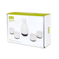 True Fervor Sake Kit Set