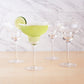 True Sorbo Margarita Glasses 4pk