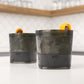 Host Whisky Freeze Cooling Cups 2Pk