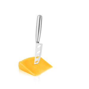 True Silver Perforated Cheese Knife