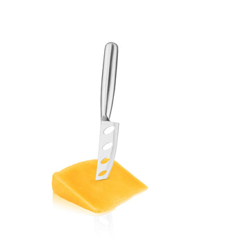 True Silver Perforated Cheese Knife