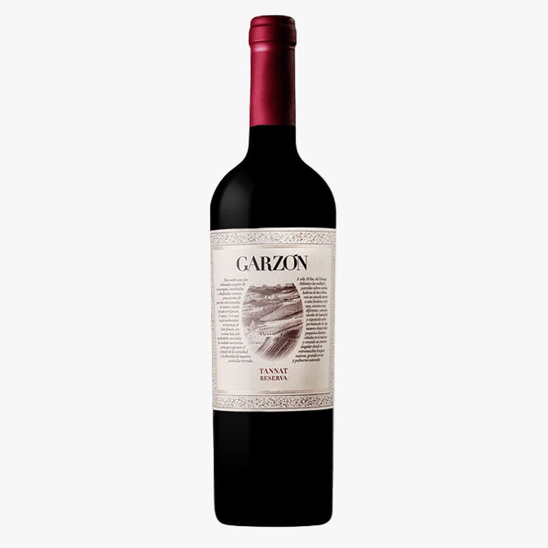 Bodega Garzon Tannat Reserva
