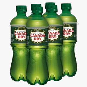 Canada Dry Ginger Ale 6pk
