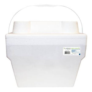 Lifoam Cooler W/ Plastic Handle