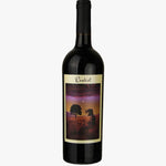 Daou Realist Cabernet
