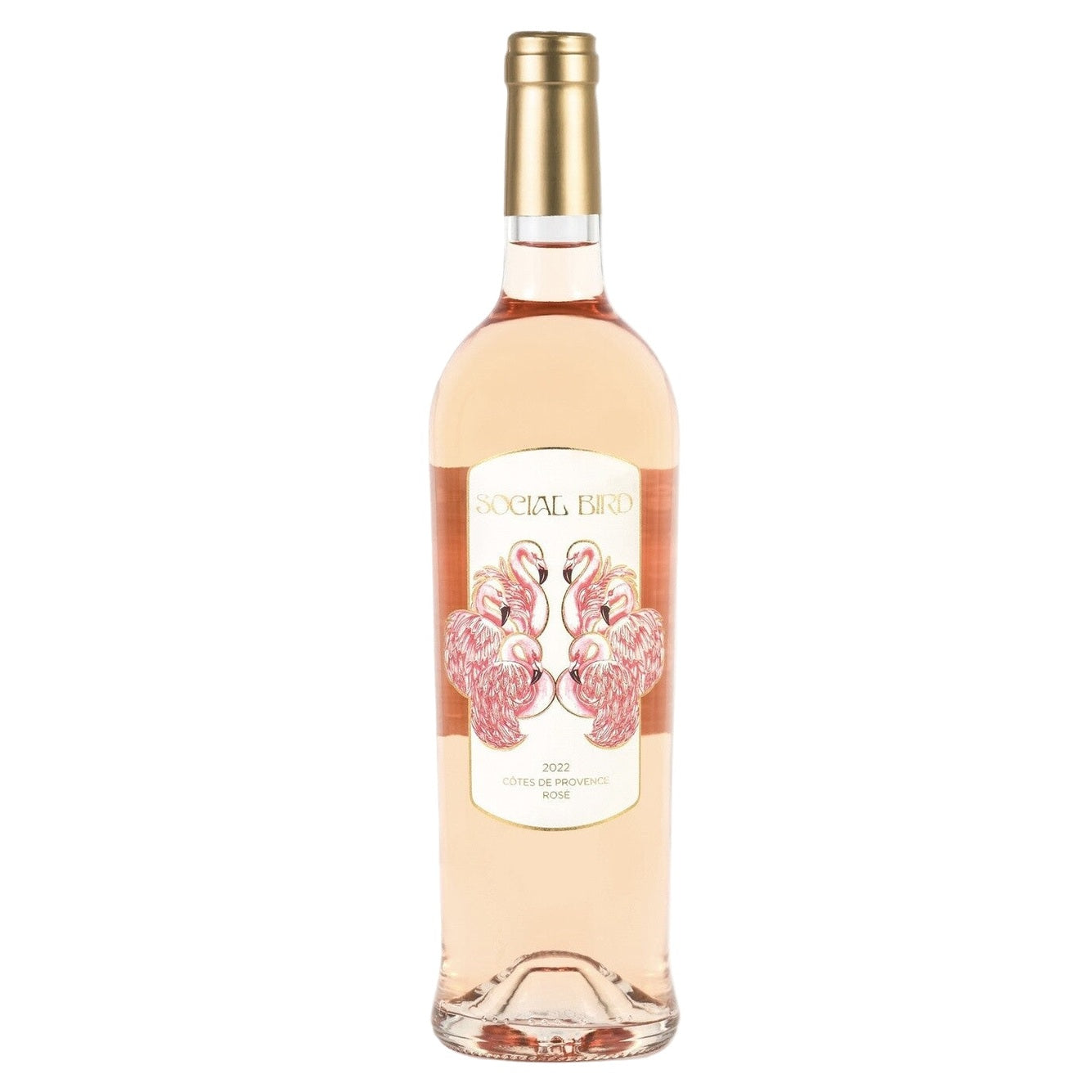 Social Bird Rose