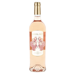 Social Bird Rose