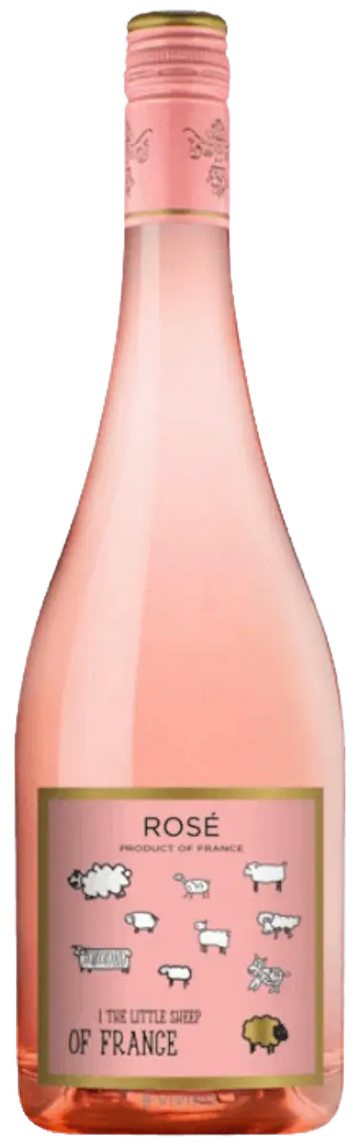 The Little Sheep Rose