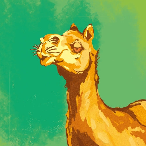 Tripping Animals Signal in The Static IPA