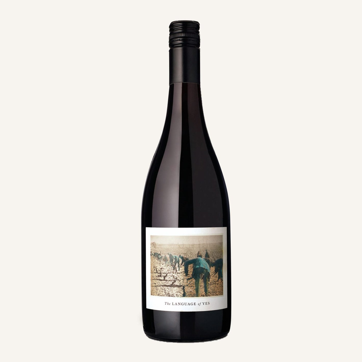 The Language of Yes Grenache