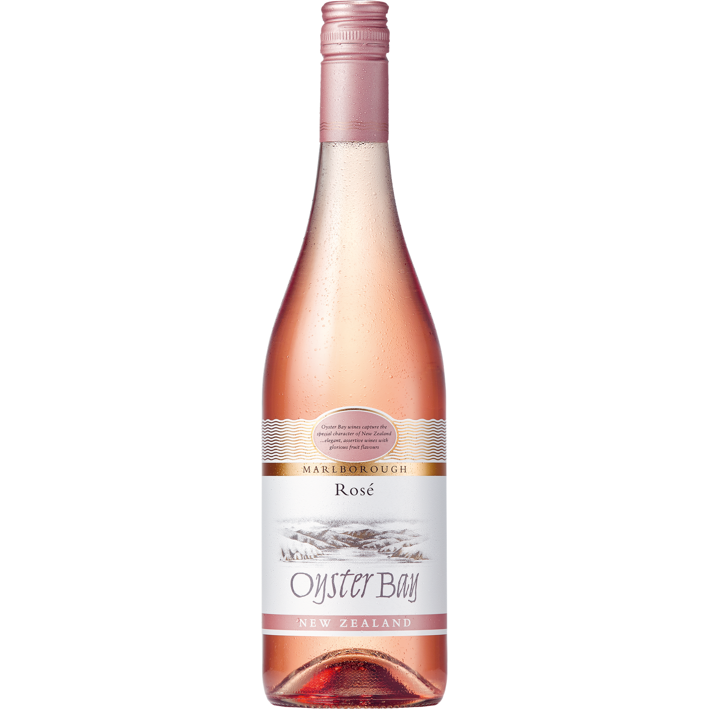 Oyster Bay Rose