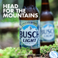 Busch Light