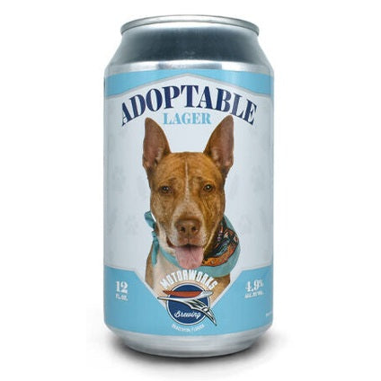 Motorworks Adoptable Lager  6pk Cn