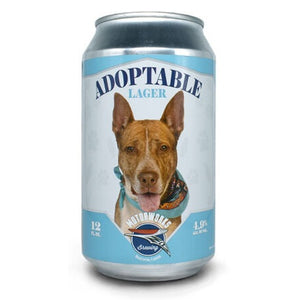 Motorworks Adoptable Lager  6pk Cn