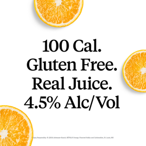 Nutrl Orange Vodka Seltzer  Sng