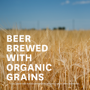 Michelob Ultra Pure Gold