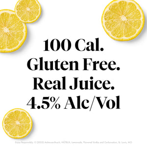 Nutrl Lemonade Variety Vodka Seltzer  4pk Cn