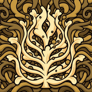 Lupulin Nilla Porter