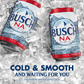 Busch NA  12pk Cn