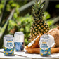 Cutwater Pina Colada  4pk Cn